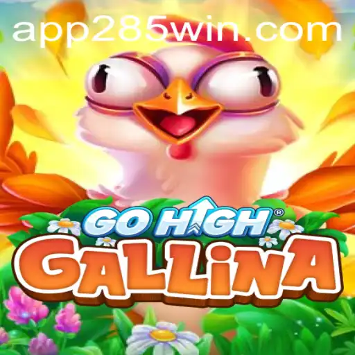 Exploring the Thrilling World of GoHighGallina and the Role of 285win.COM